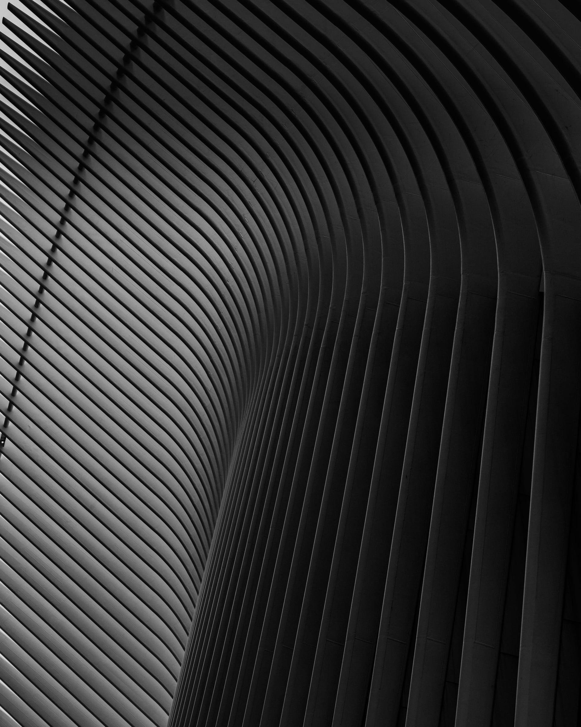 The Oculus WTC interior — fine art architectural photography by Chauncey Scott, New York City