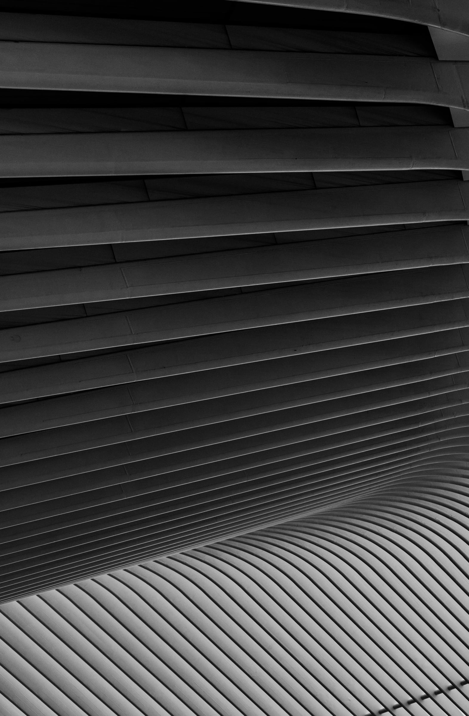 World Trade Center Oculus symmetry study, New York City — editorial architectural photography by Chauncey Scott