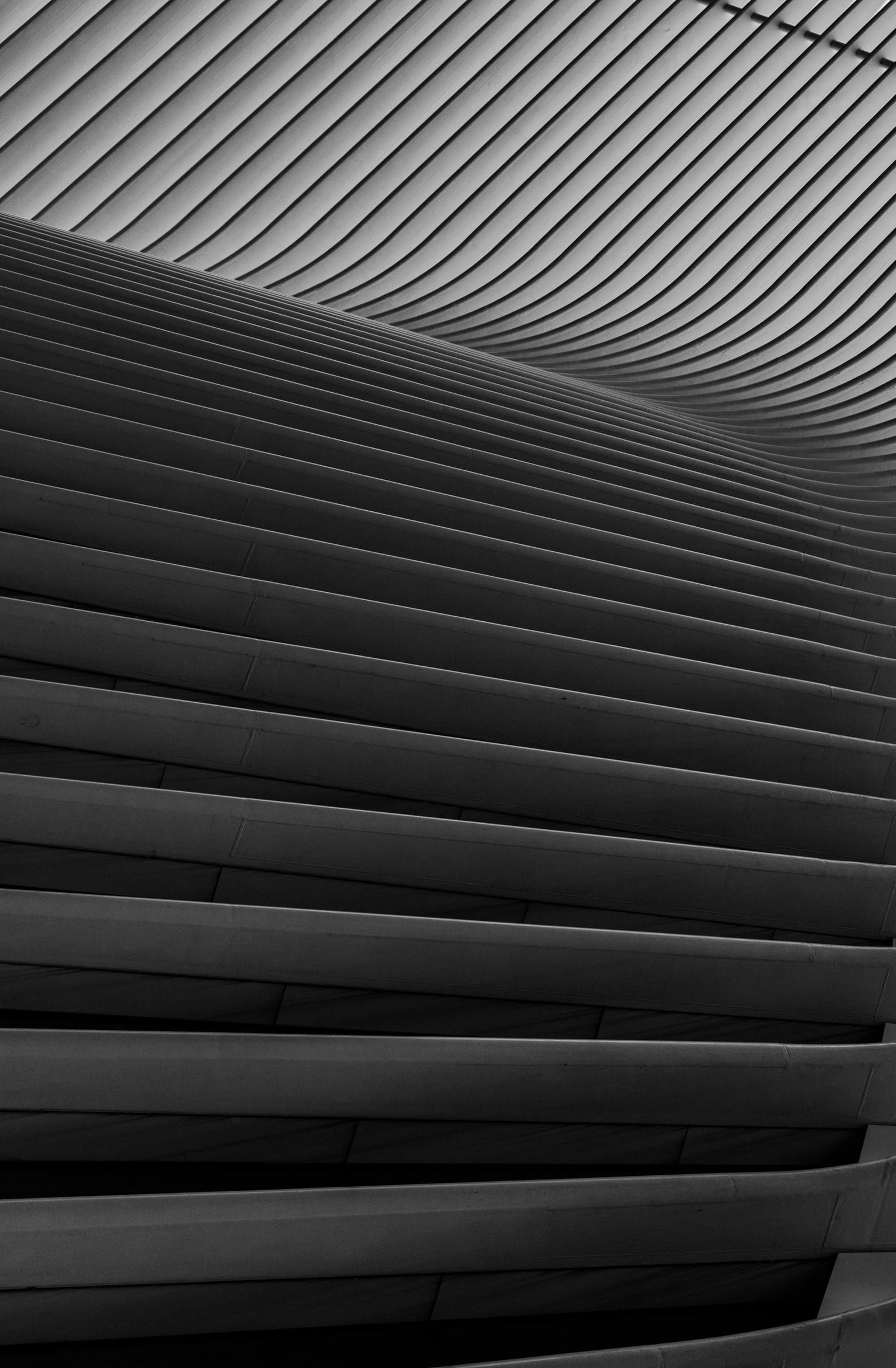 The Oculus WTC structural ribs detail, Lower Manhattan New York — fine art photography by Chauncey Scott
