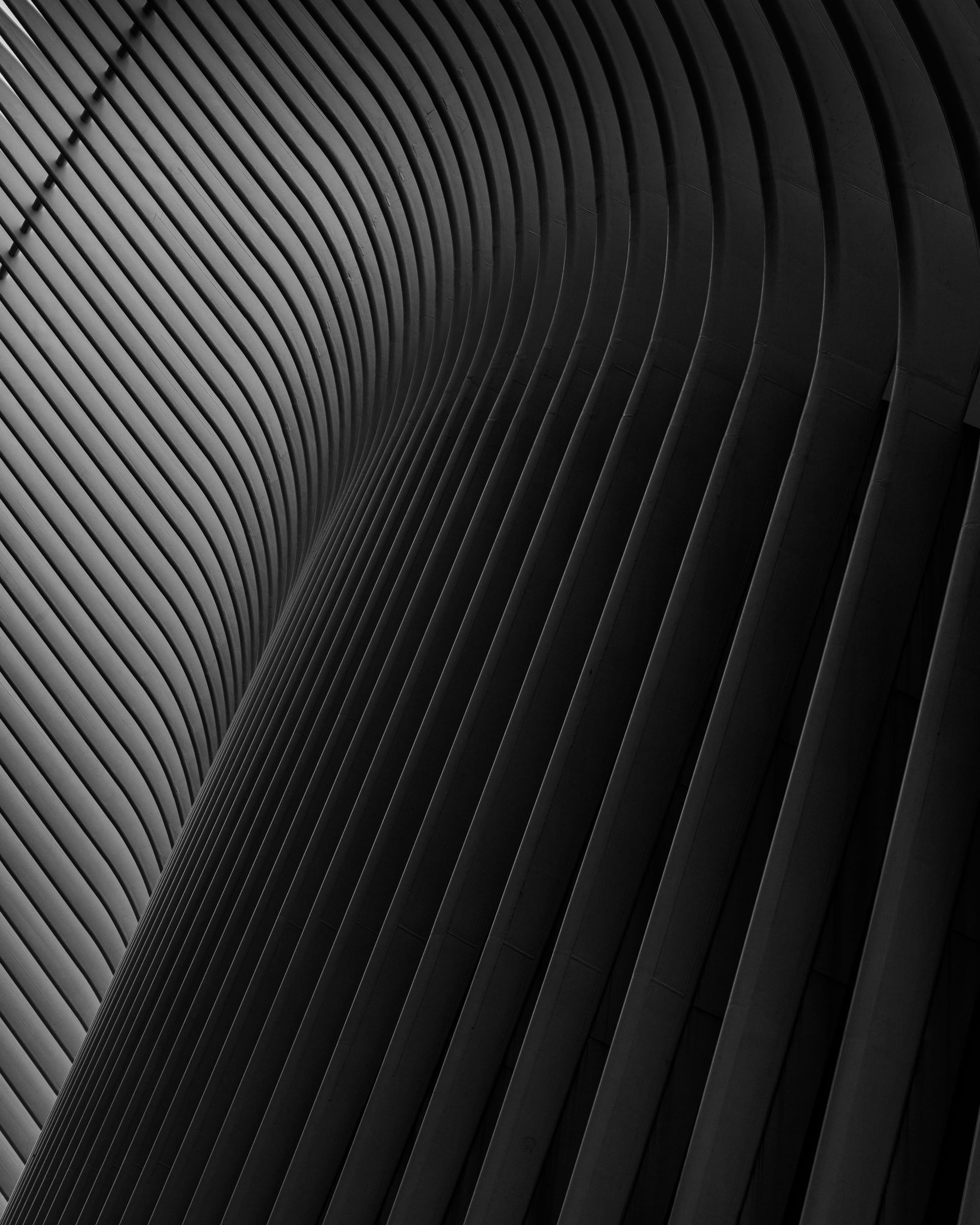WTC Oculus geometric ceiling pattern, New York City — fine art and editorial photography by Chauncey Scott