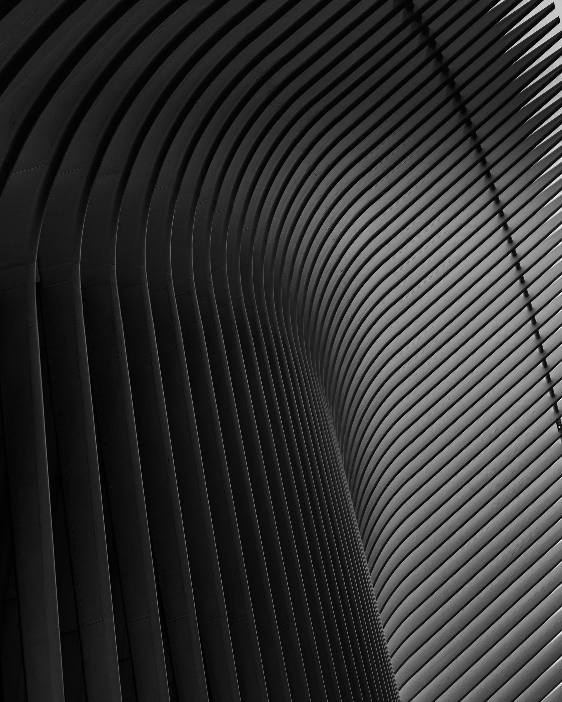 Oculus World Trade Center ribbed ceiling symmetry, Lower Manhattan New York City — fine art photography by Chauncey Scott
