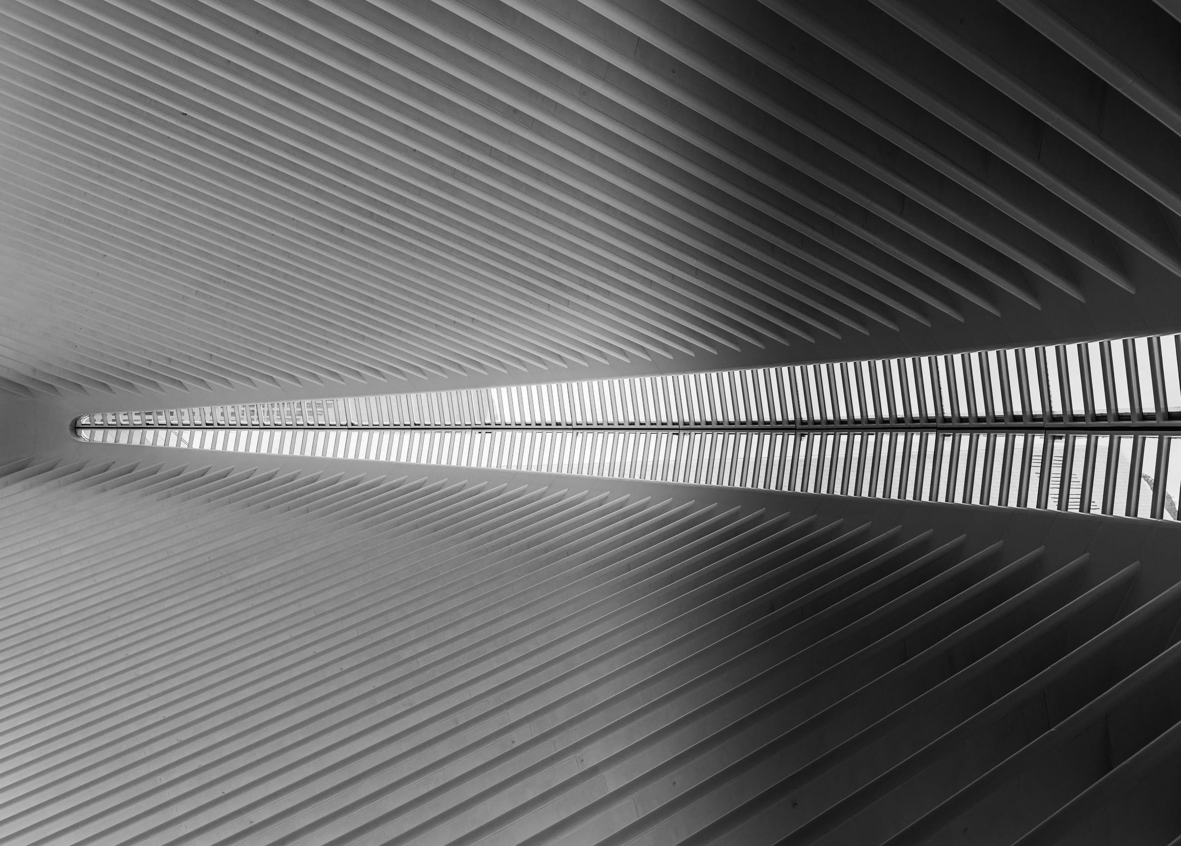 Oculus New York City light and shadow study — fine art photography by Chauncey Scott