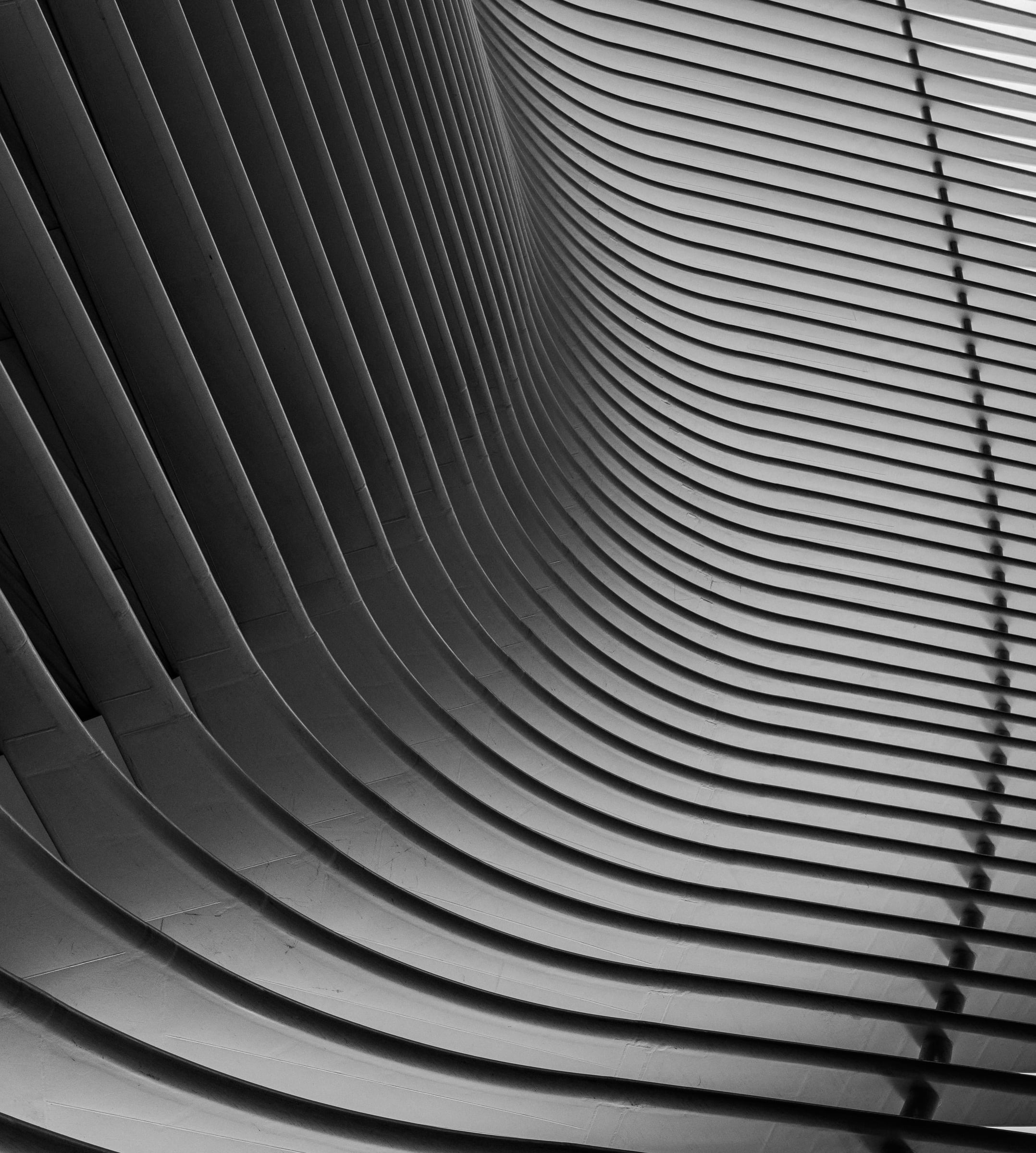 WTC Oculus New York City structural symmetry — fine art editorial photography by Chauncey Scott