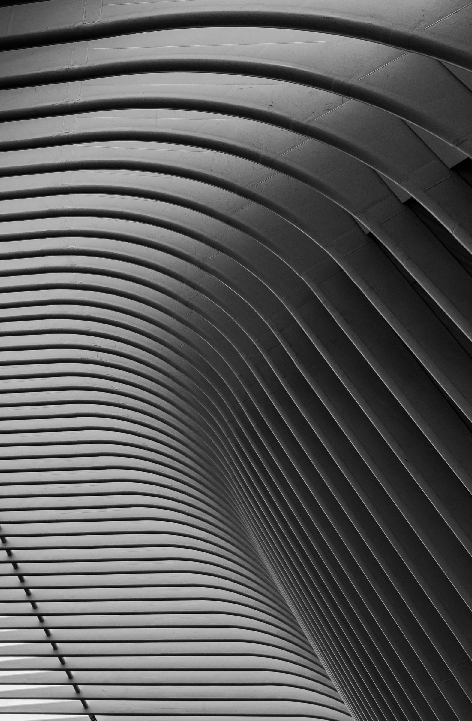 The Oculus New York City white ribbed architecture detail — fine art photography by Chauncey Scott