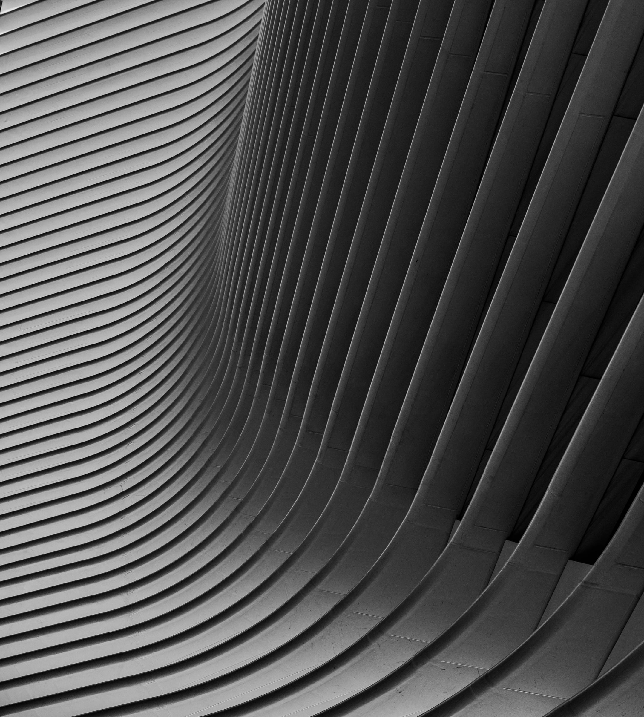 World Trade Center, New York City Oculus white ribbed architecture — fine art symmetry photography by Chauncey Scott