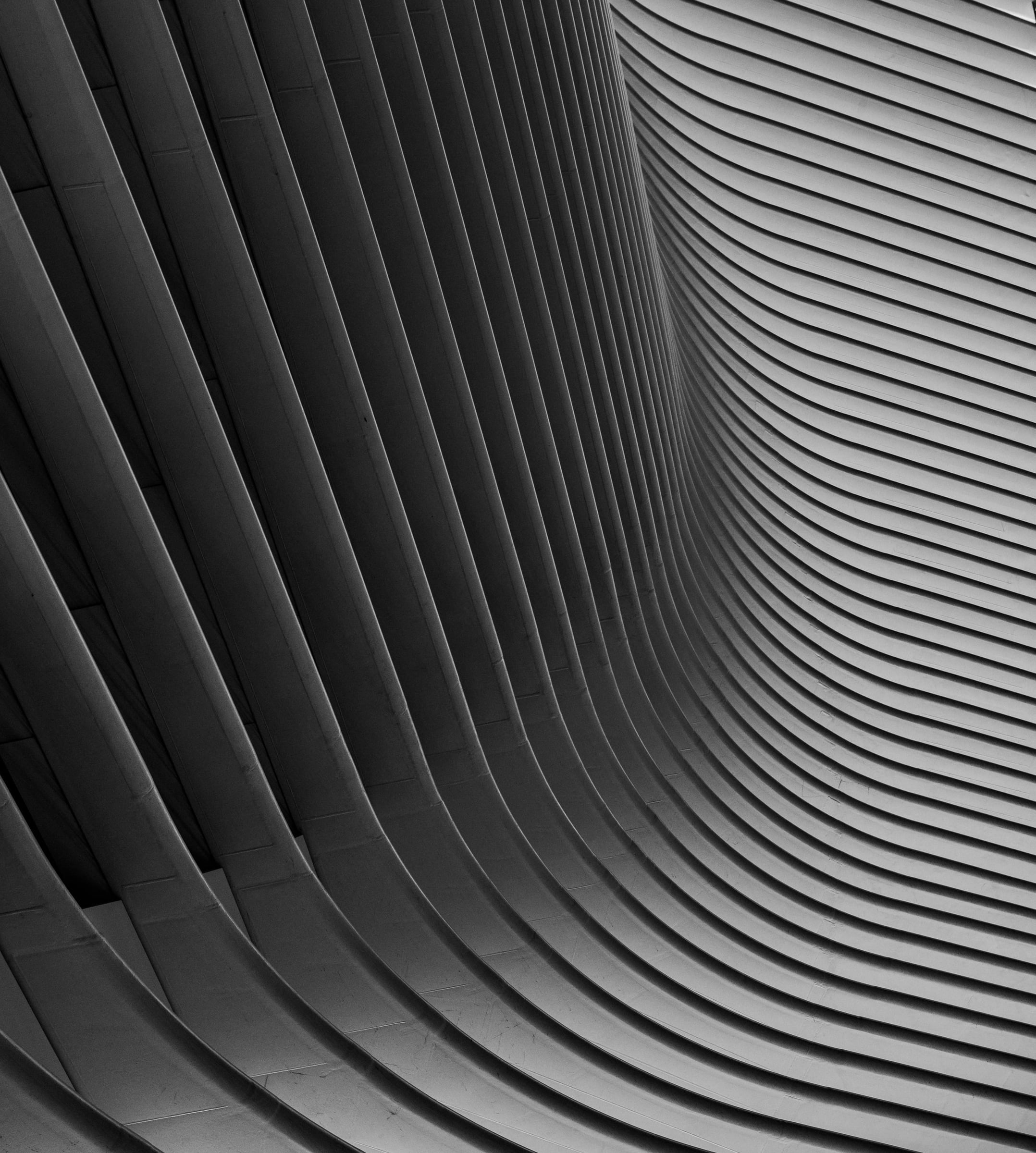 The Oculus WTC structural spine detail, New York City — fine art editorial photography by Chauncey Scott