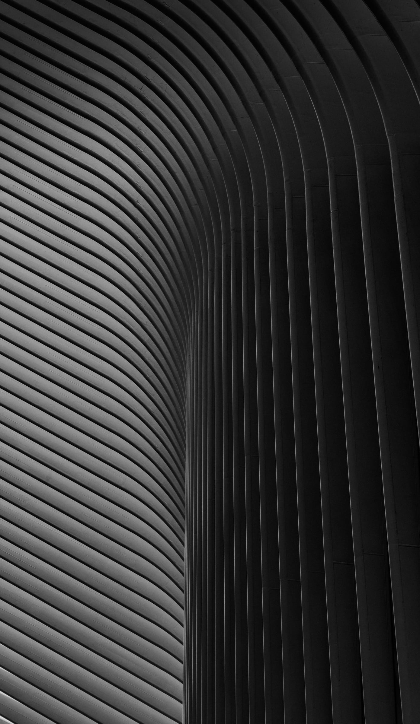 The Oculus WTC floor and ceiling symmetry, Lower Manhattan New York — fine art photography by Chauncey Scott